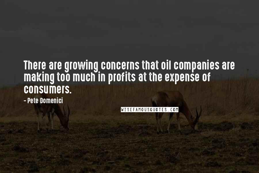 Pete Domenici Quotes: There are growing concerns that oil companies are making too much in profits at the expense of consumers.