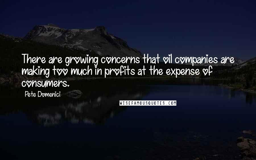 Pete Domenici Quotes: There are growing concerns that oil companies are making too much in profits at the expense of consumers.