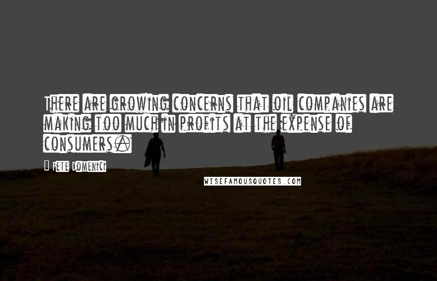 Pete Domenici Quotes: There are growing concerns that oil companies are making too much in profits at the expense of consumers.