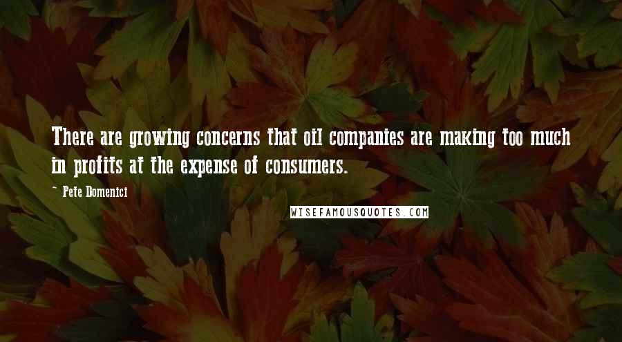 Pete Domenici Quotes: There are growing concerns that oil companies are making too much in profits at the expense of consumers.