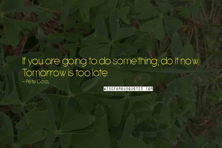 Pete Goss Quotes: If you are going to do something, do it now. Tomorrow is too late.