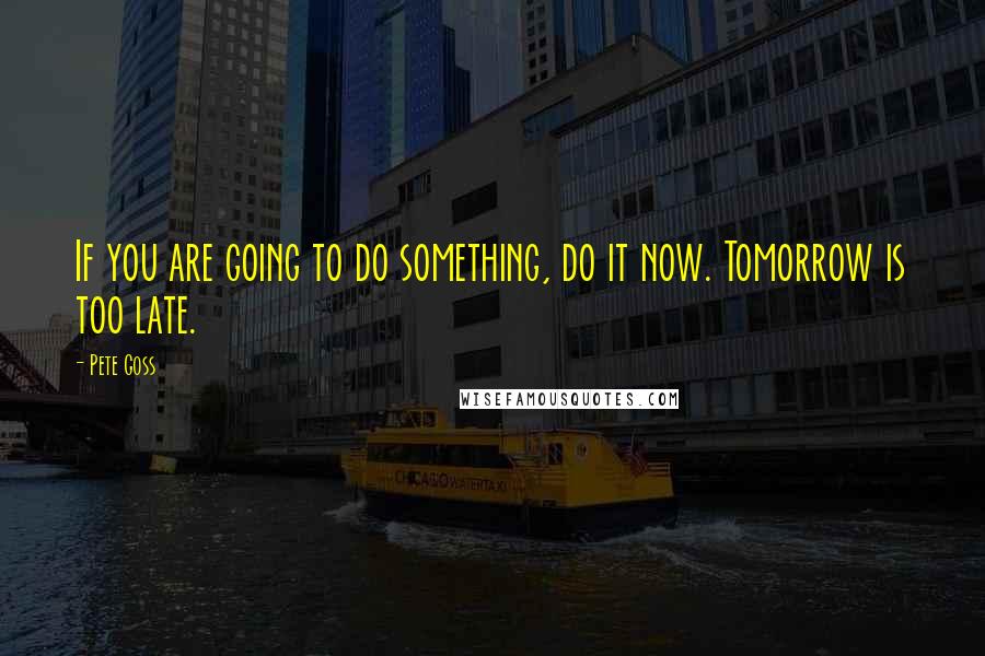 Pete Goss Quotes: If you are going to do something, do it now. Tomorrow is too late.