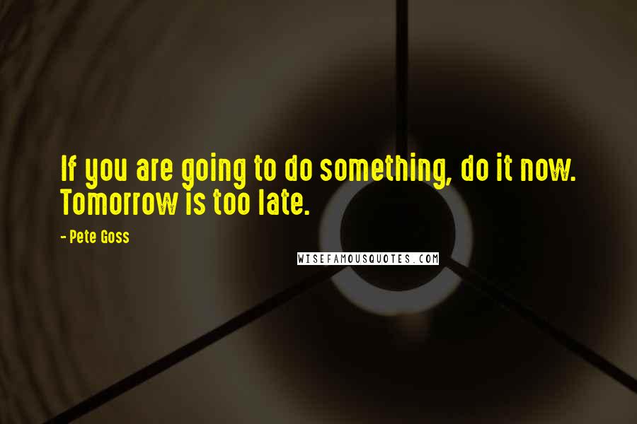 Pete Goss Quotes: If you are going to do something, do it now. Tomorrow is too late.