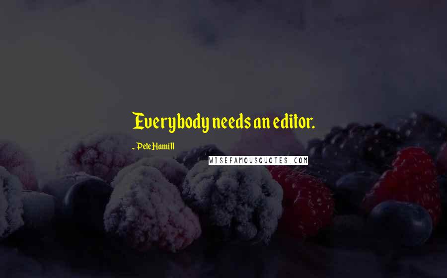 Pete Hamill Quotes: Everybody needs an editor.