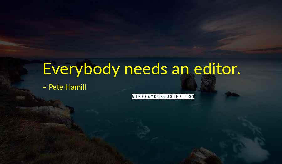 Pete Hamill Quotes: Everybody needs an editor.