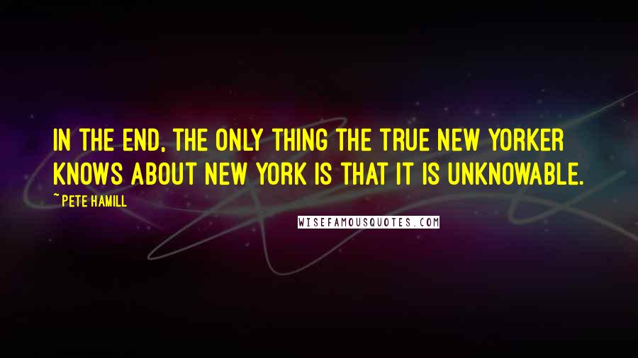 Pete Hamill Quotes: In the end, the only thing the true New Yorker knows about New York is that it is unknowable.