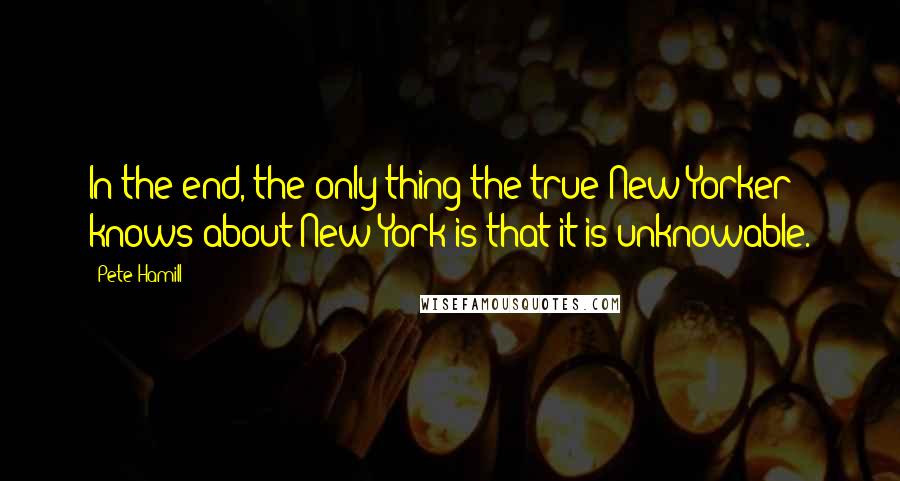 Pete Hamill Quotes: In the end, the only thing the true New Yorker knows about New York is that it is unknowable.