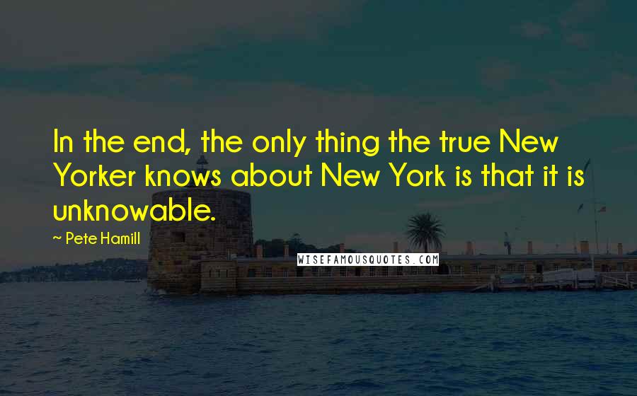 Pete Hamill Quotes: In the end, the only thing the true New Yorker knows about New York is that it is unknowable.