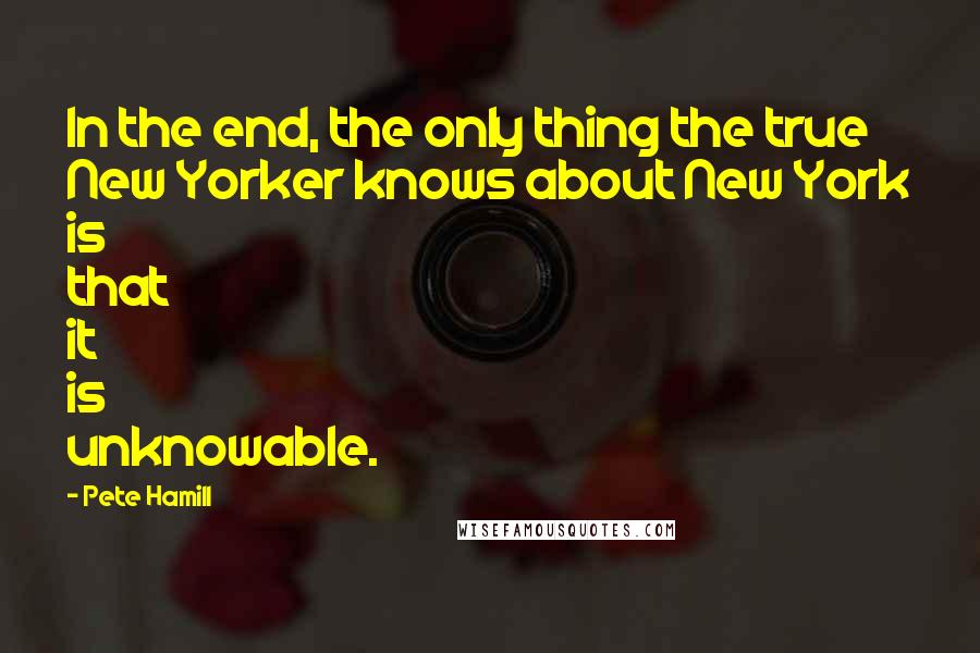 Pete Hamill Quotes: In the end, the only thing the true New Yorker knows about New York is that it is unknowable.