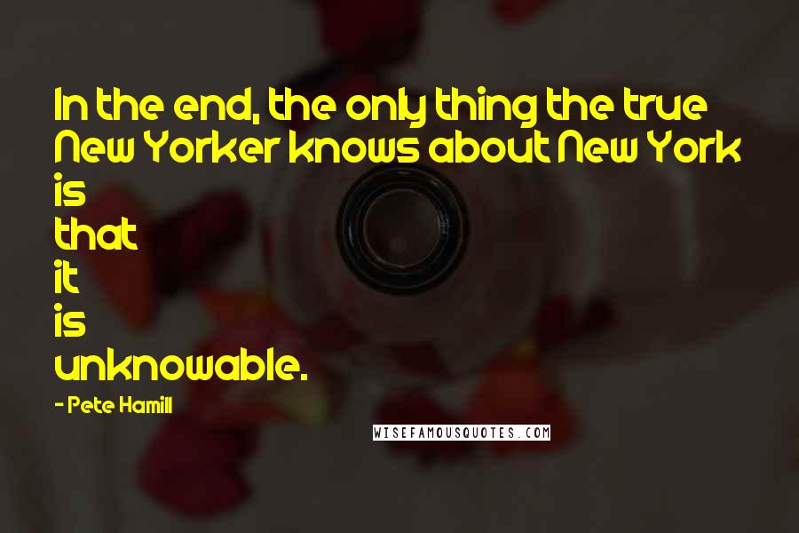 Pete Hamill Quotes: In the end, the only thing the true New Yorker knows about New York is that it is unknowable.