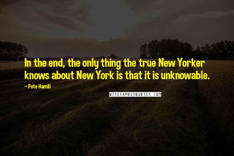 Pete Hamill Quotes: In the end, the only thing the true New Yorker knows about New York is that it is unknowable.