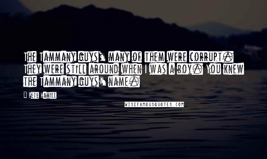 Pete Hamill Quotes: The Tammany guys, many of them were corrupt. They were still around when I was a boy. You knew the Tammany guys' name.