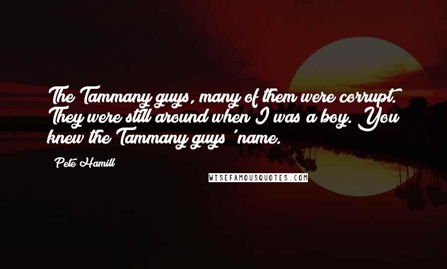 Pete Hamill Quotes: The Tammany guys, many of them were corrupt. They were still around when I was a boy. You knew the Tammany guys' name.