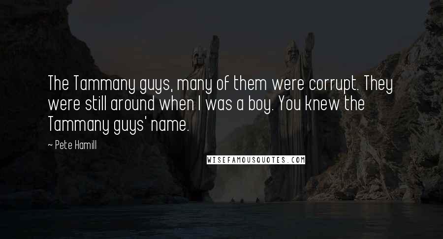 Pete Hamill Quotes: The Tammany guys, many of them were corrupt. They were still around when I was a boy. You knew the Tammany guys' name.