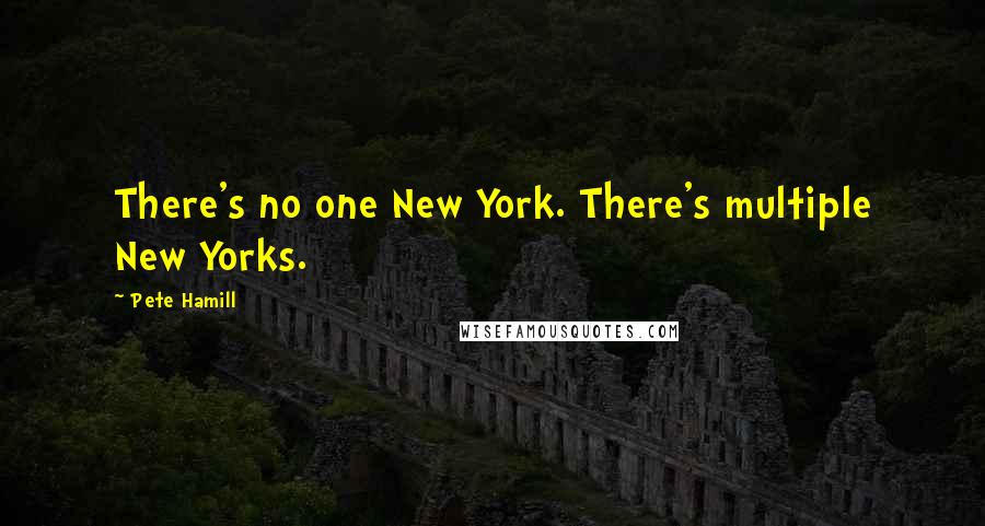 Pete Hamill Quotes: There's no one New York. There's multiple New Yorks.