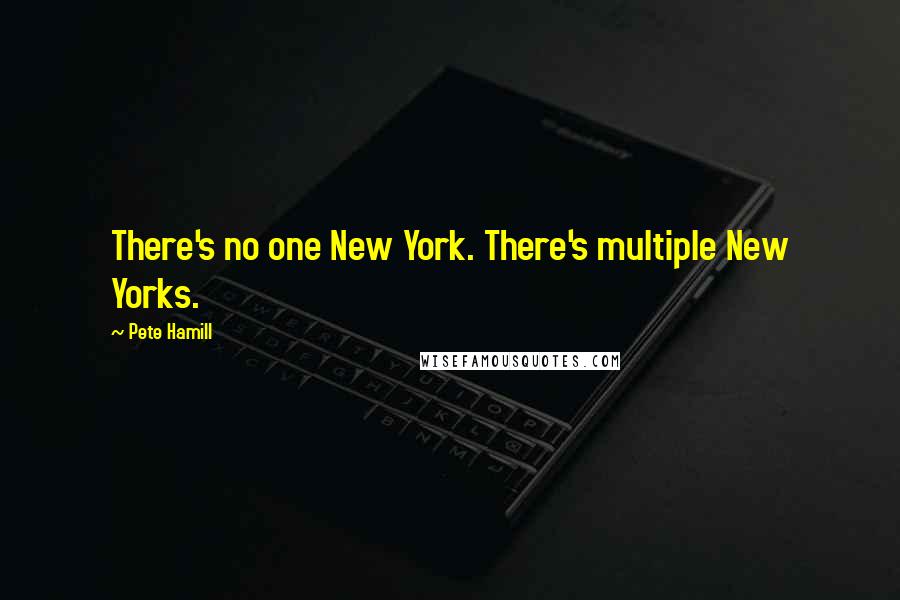 Pete Hamill Quotes: There's no one New York. There's multiple New Yorks.