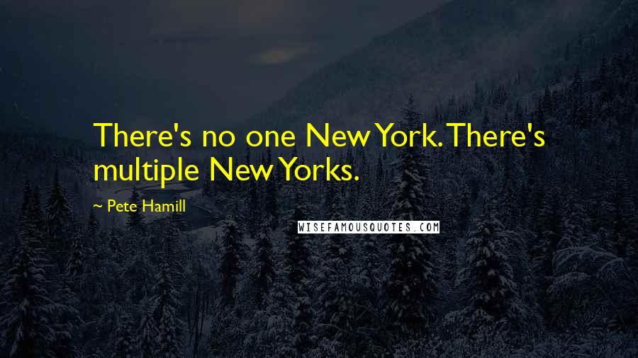 Pete Hamill Quotes: There's no one New York. There's multiple New Yorks.