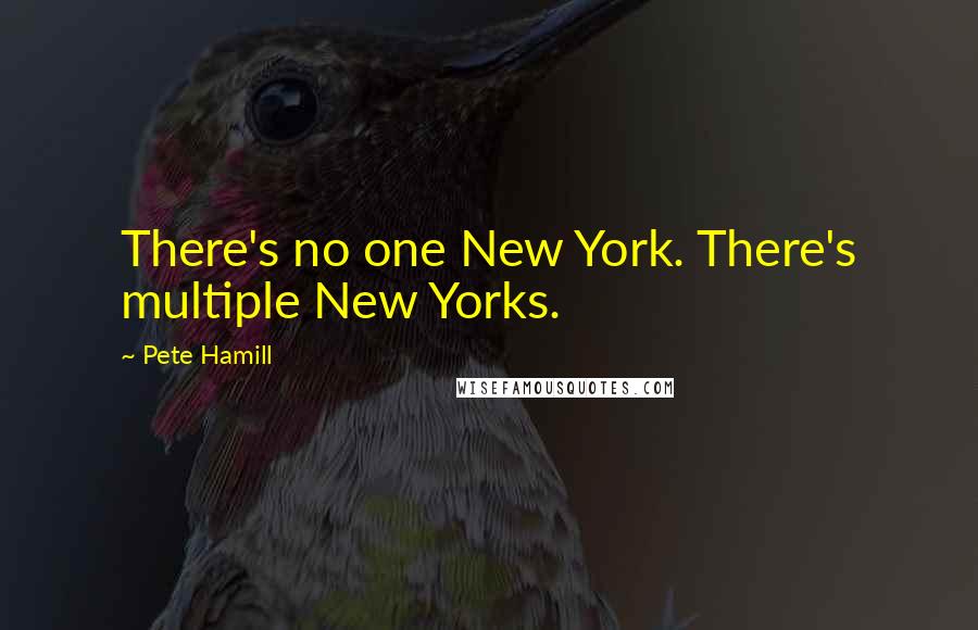 Pete Hamill Quotes: There's no one New York. There's multiple New Yorks.