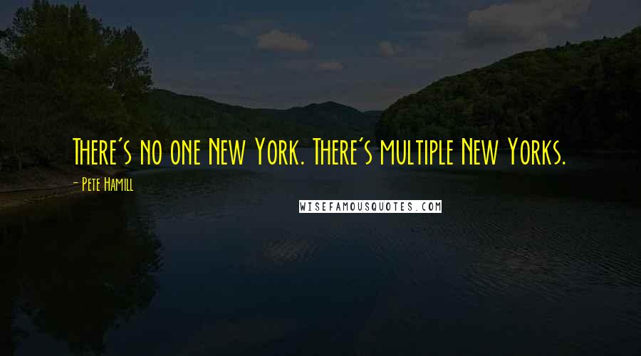 Pete Hamill Quotes: There's no one New York. There's multiple New Yorks.