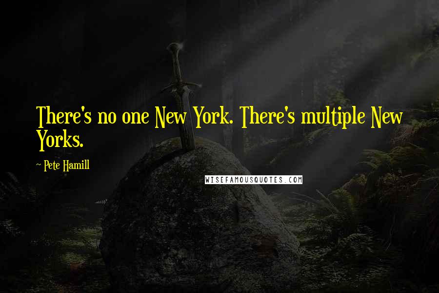 Pete Hamill Quotes: There's no one New York. There's multiple New Yorks.