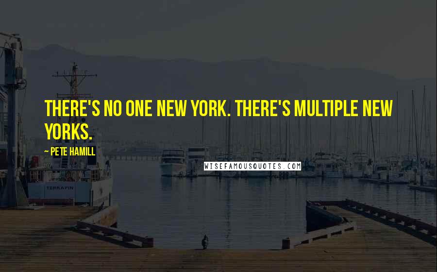 Pete Hamill Quotes: There's no one New York. There's multiple New Yorks.