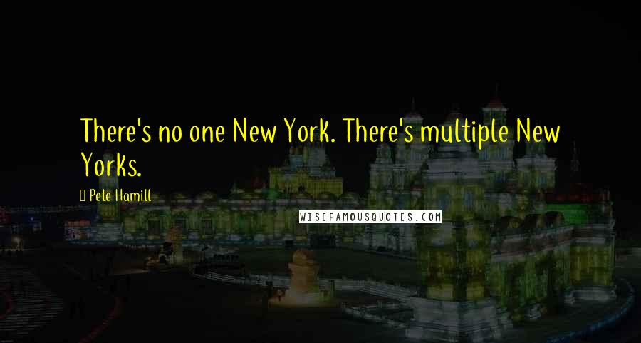 Pete Hamill Quotes: There's no one New York. There's multiple New Yorks.