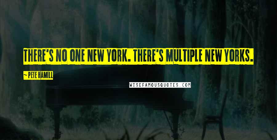 Pete Hamill Quotes: There's no one New York. There's multiple New Yorks.