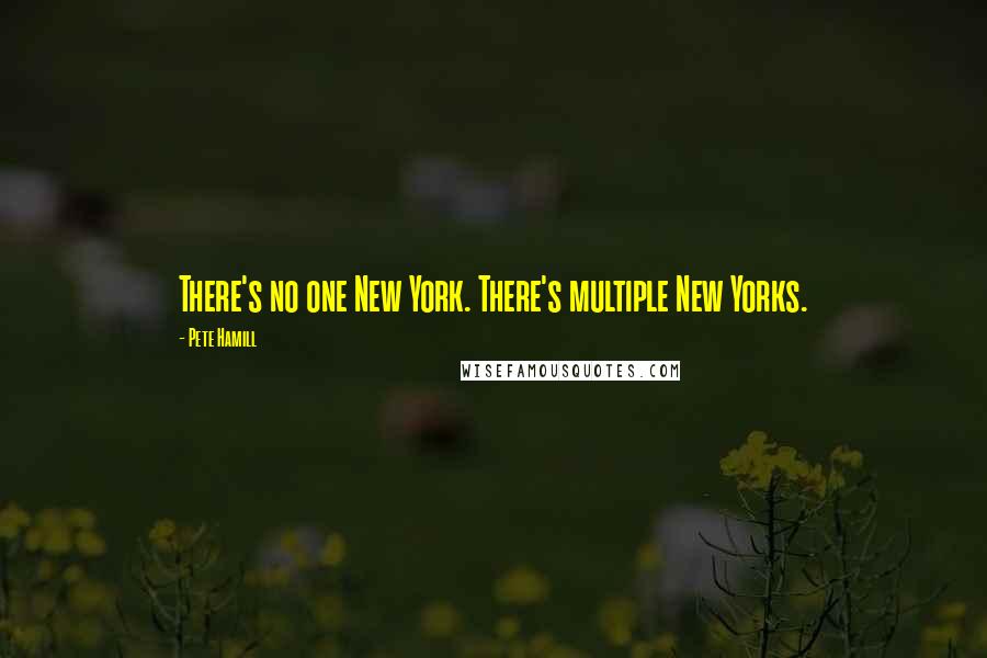 Pete Hamill Quotes: There's no one New York. There's multiple New Yorks.