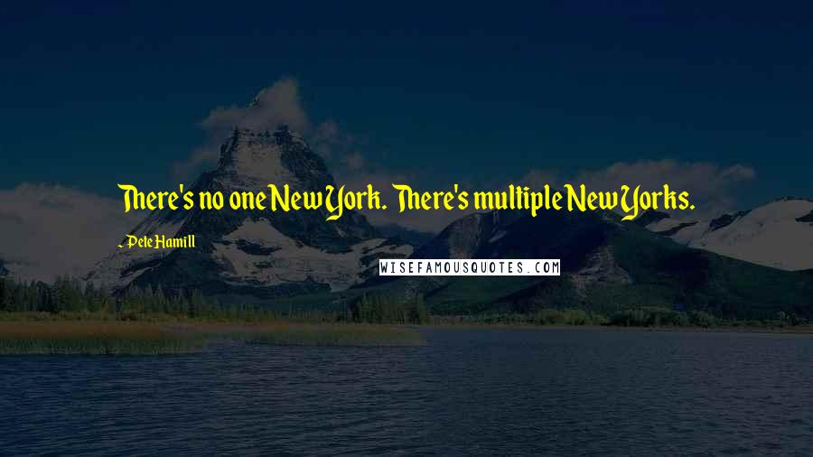 Pete Hamill Quotes: There's no one New York. There's multiple New Yorks.