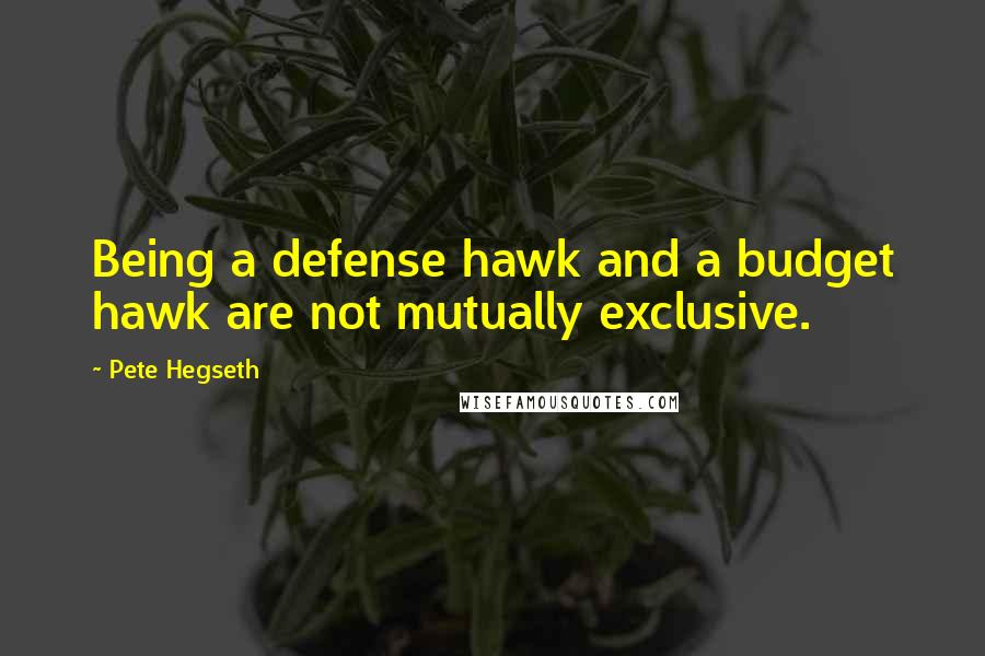 Pete Hegseth Quotes: Being a defense hawk and a budget hawk are not mutually exclusive.