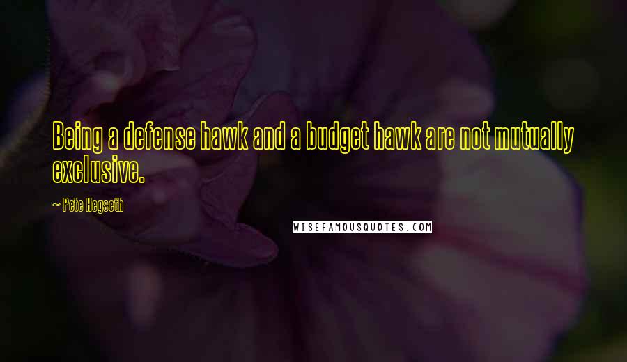 Pete Hegseth Quotes: Being a defense hawk and a budget hawk are not mutually exclusive.