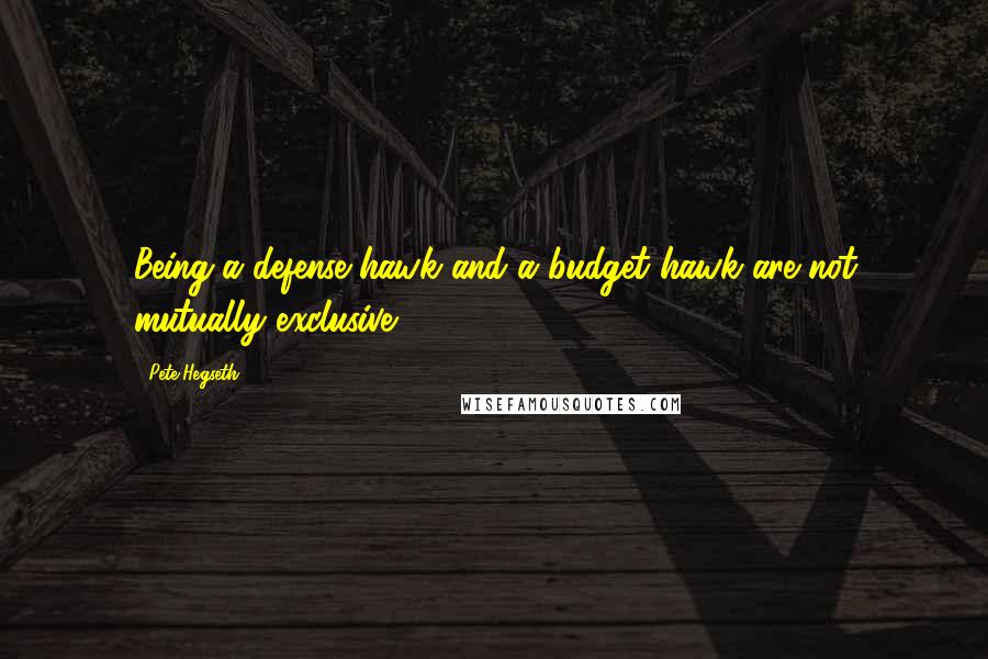 Pete Hegseth Quotes: Being a defense hawk and a budget hawk are not mutually exclusive.