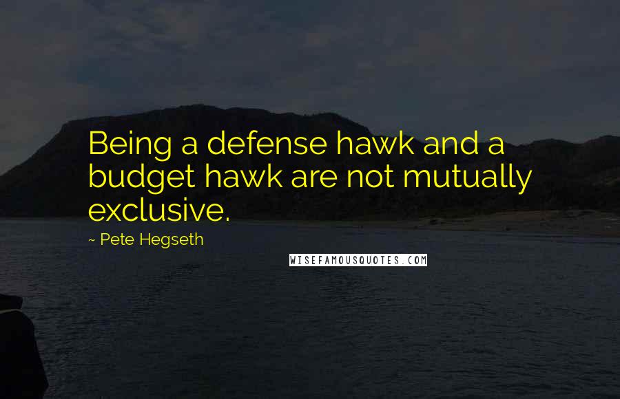 Pete Hegseth Quotes: Being a defense hawk and a budget hawk are not mutually exclusive.