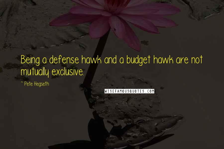 Pete Hegseth Quotes: Being a defense hawk and a budget hawk are not mutually exclusive.