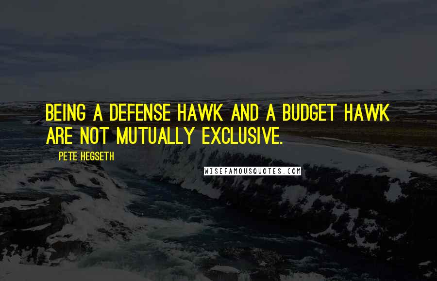 Pete Hegseth Quotes: Being a defense hawk and a budget hawk are not mutually exclusive.