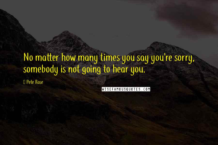 Pete Rose Quotes: No matter how many times you say you're sorry, somebody is not going to hear you.