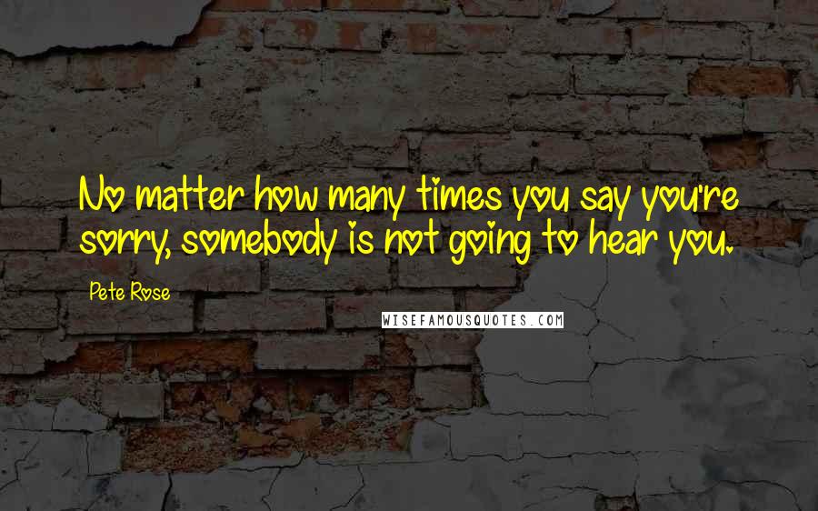 Pete Rose Quotes: No matter how many times you say you're sorry, somebody is not going to hear you.