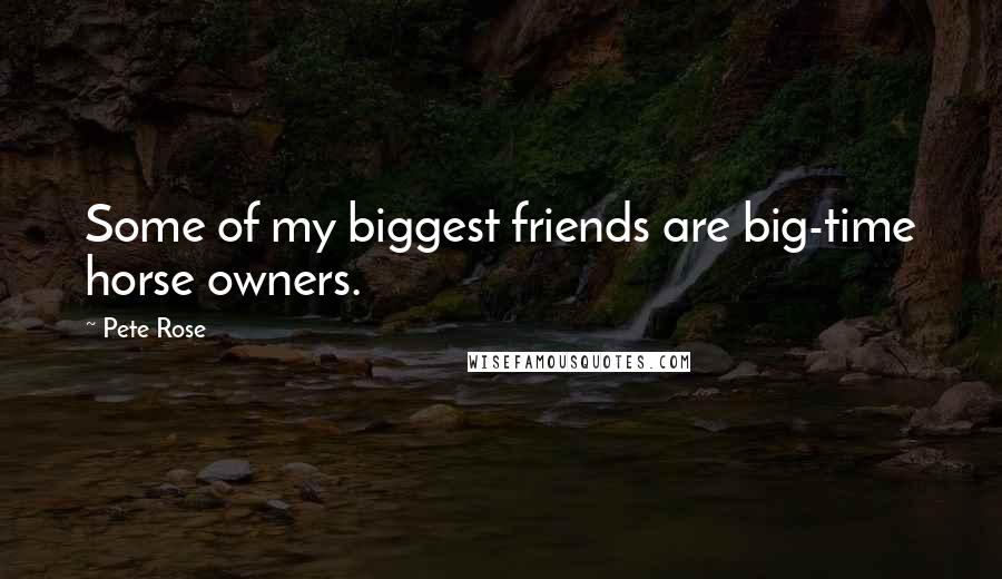 Pete Rose Quotes: Some of my biggest friends are big-time horse owners.
