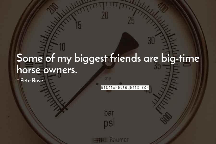 Pete Rose Quotes: Some of my biggest friends are big-time horse owners.