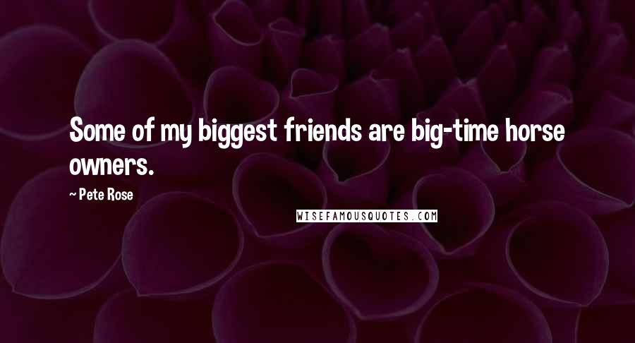 Pete Rose Quotes: Some of my biggest friends are big-time horse owners.