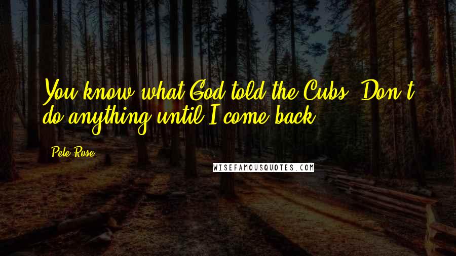 Pete Rose Quotes: You know what God told the Cubs? Don't do anything until I come back.