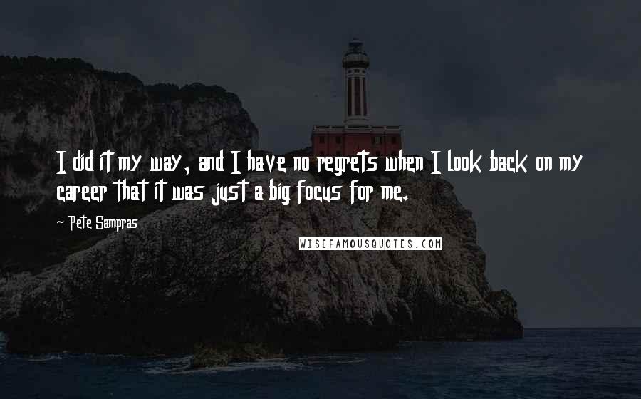 Pete Sampras Quotes: I did it my way, and I have no regrets when I look back on my career that it was just a big focus for me.