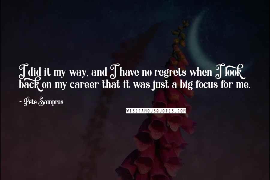 Pete Sampras Quotes: I did it my way, and I have no regrets when I look back on my career that it was just a big focus for me.