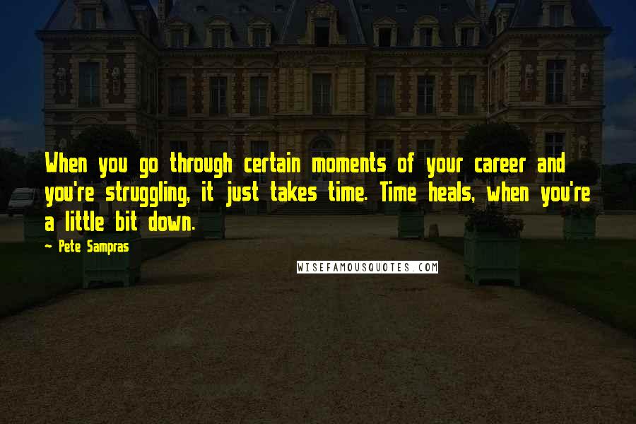 Pete Sampras Quotes: When you go through certain moments of your career and you're struggling, it just takes time. Time heals, when you're a little bit down.