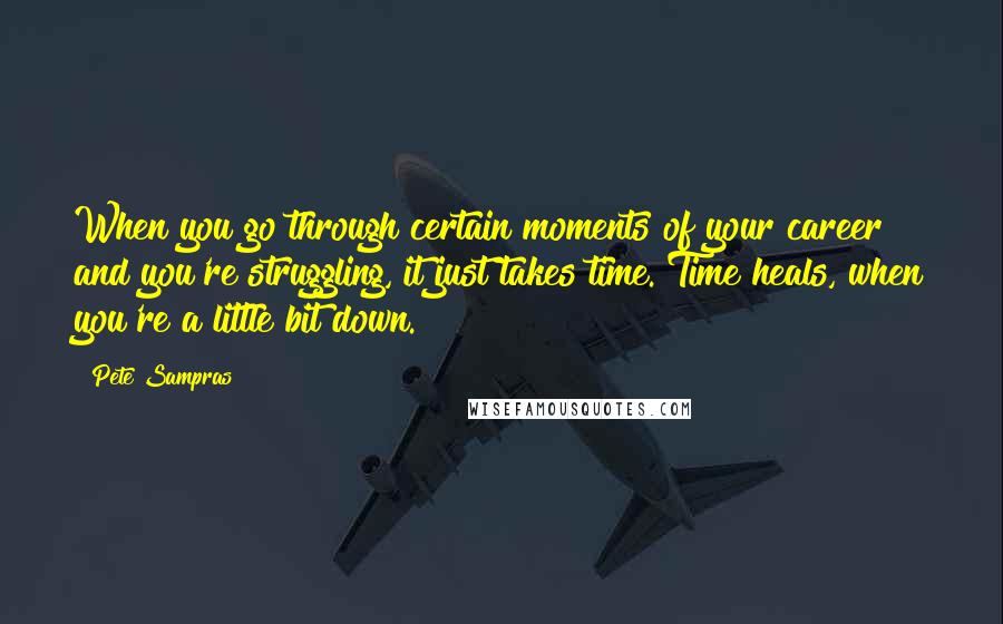 Pete Sampras Quotes: When you go through certain moments of your career and you're struggling, it just takes time. Time heals, when you're a little bit down.