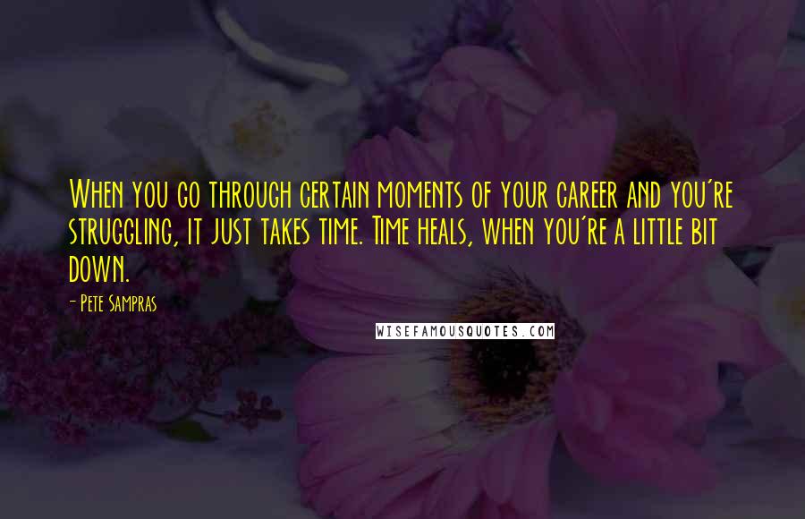 Pete Sampras Quotes: When you go through certain moments of your career and you're struggling, it just takes time. Time heals, when you're a little bit down.