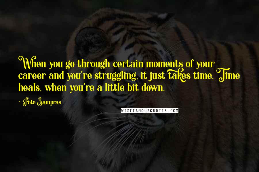 Pete Sampras Quotes: When you go through certain moments of your career and you're struggling, it just takes time. Time heals, when you're a little bit down.