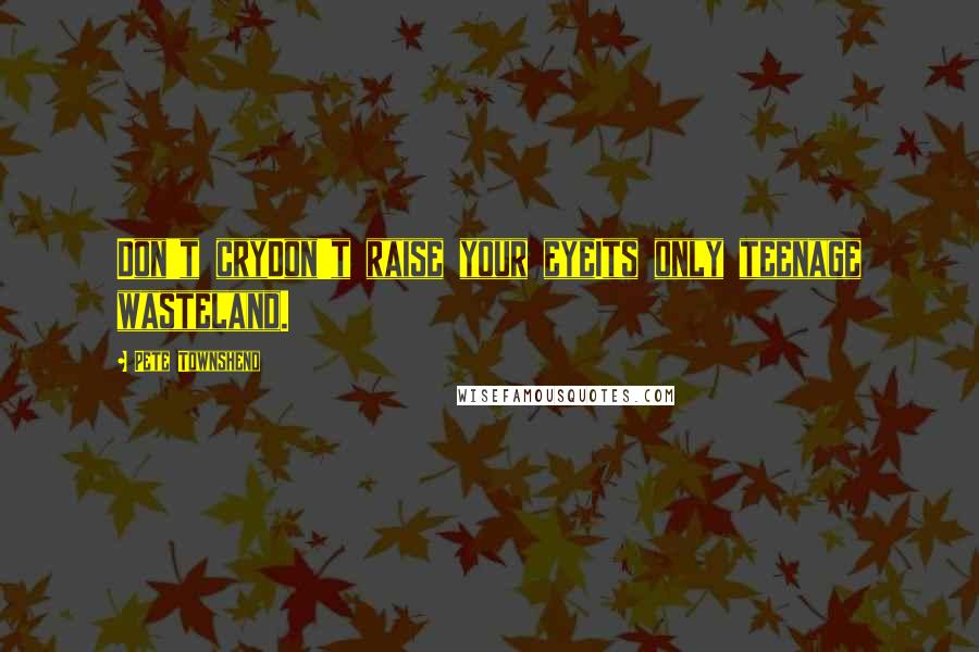 Pete Townshend Quotes: Don't cryDon't raise your eyeIts only teenage wasteland.