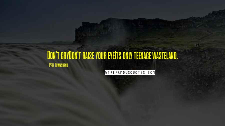 Pete Townshend Quotes: Don't cryDon't raise your eyeIts only teenage wasteland.