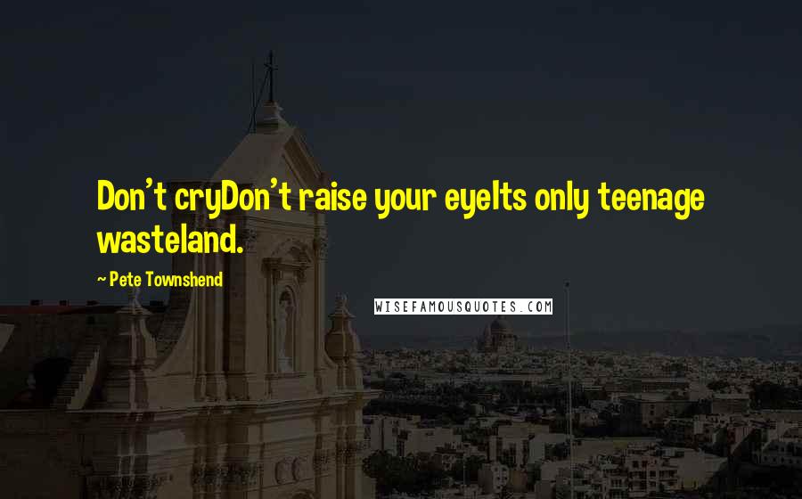 Pete Townshend Quotes: Don't cryDon't raise your eyeIts only teenage wasteland.